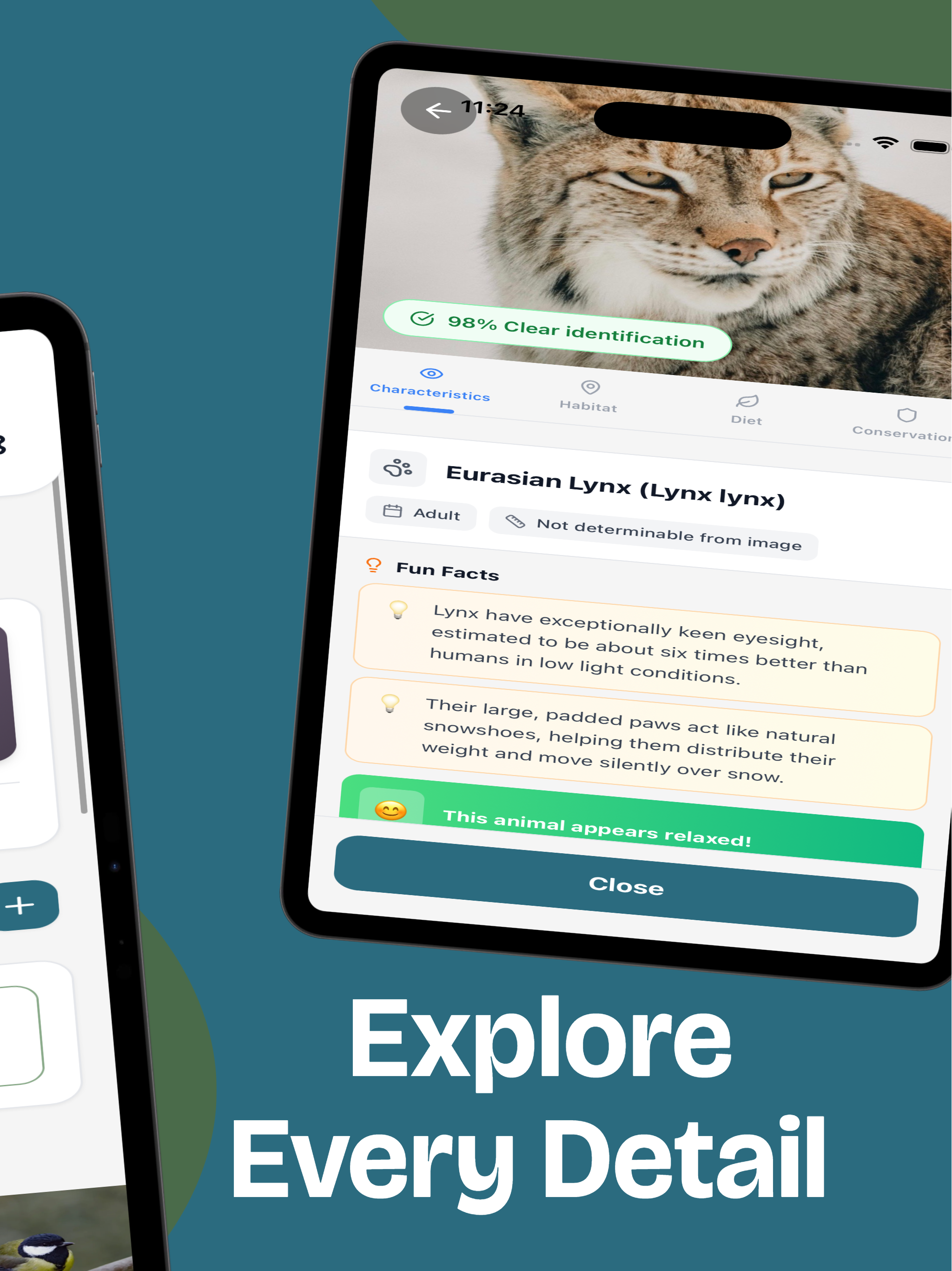 PetMind - Animal Identifier