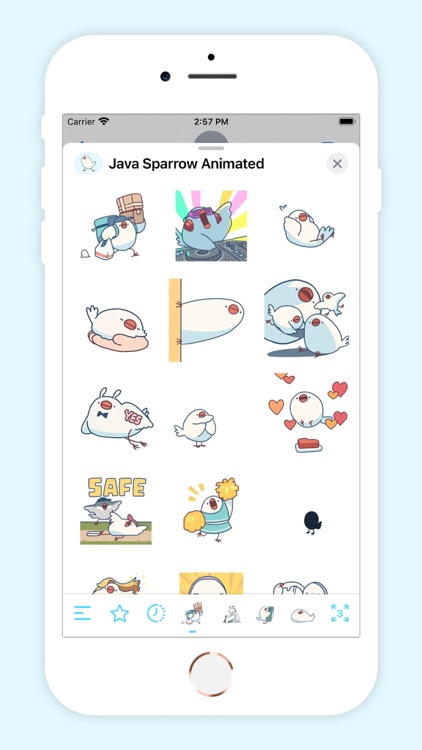 Java Sparrow Animated