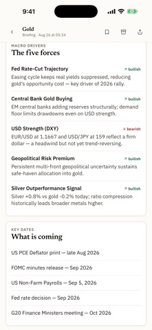 TradingBrief: Market Analysis Screenshot 7 of 9