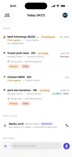 Screenshot von Margin AI auf dem iPhone 1
