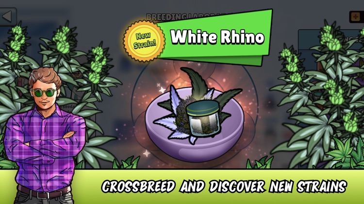 WeedCity - Business Empire