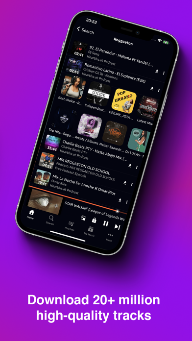 Music Downloader / MP3 Player Screenshot