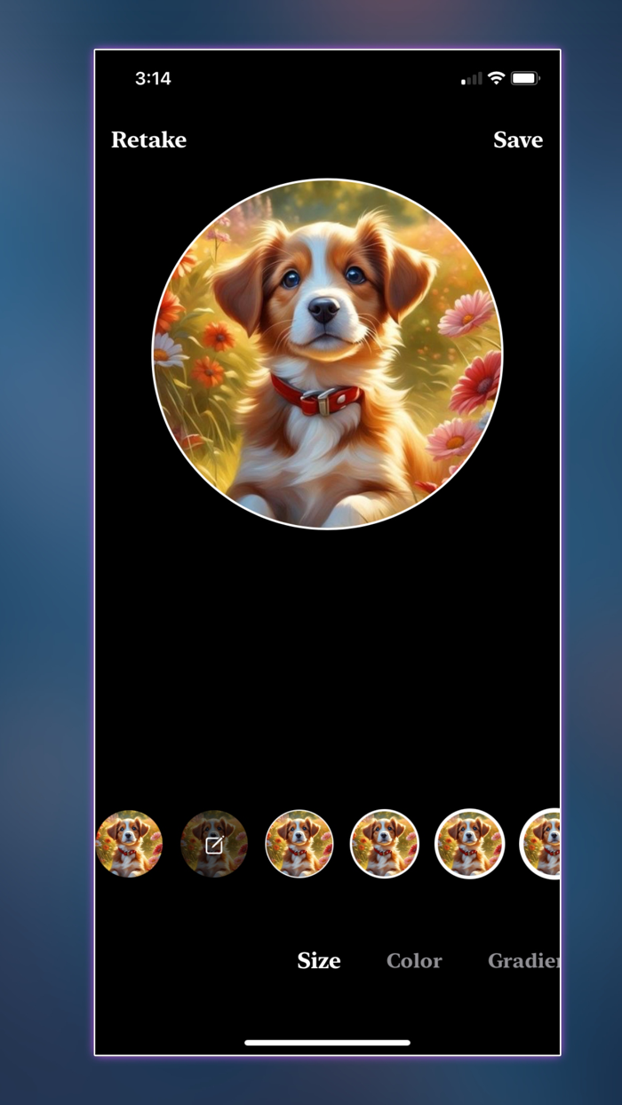Profile Border Maker   Editor