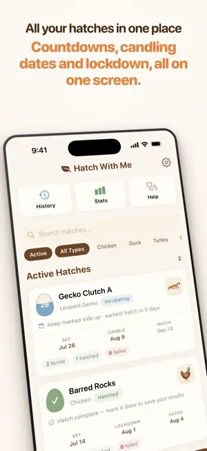 Hatch With Me: Incubation screenshot 1