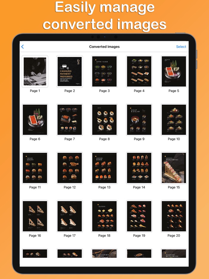 PDF to PNG Converter ™