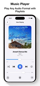 DocumentHub: File Manager screenshot