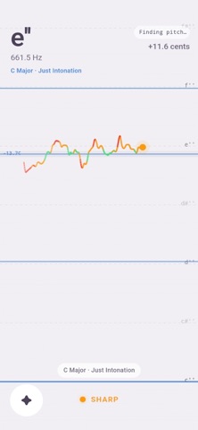 Intonation Control - Tuner Screenshot 6 of 6