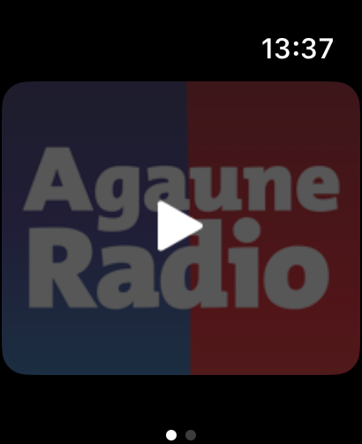 Agaune Radio screenshot 7