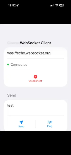 WebSocket Client screenshot 1