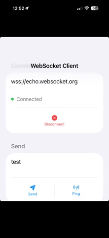 WebSocket Client app screenshot