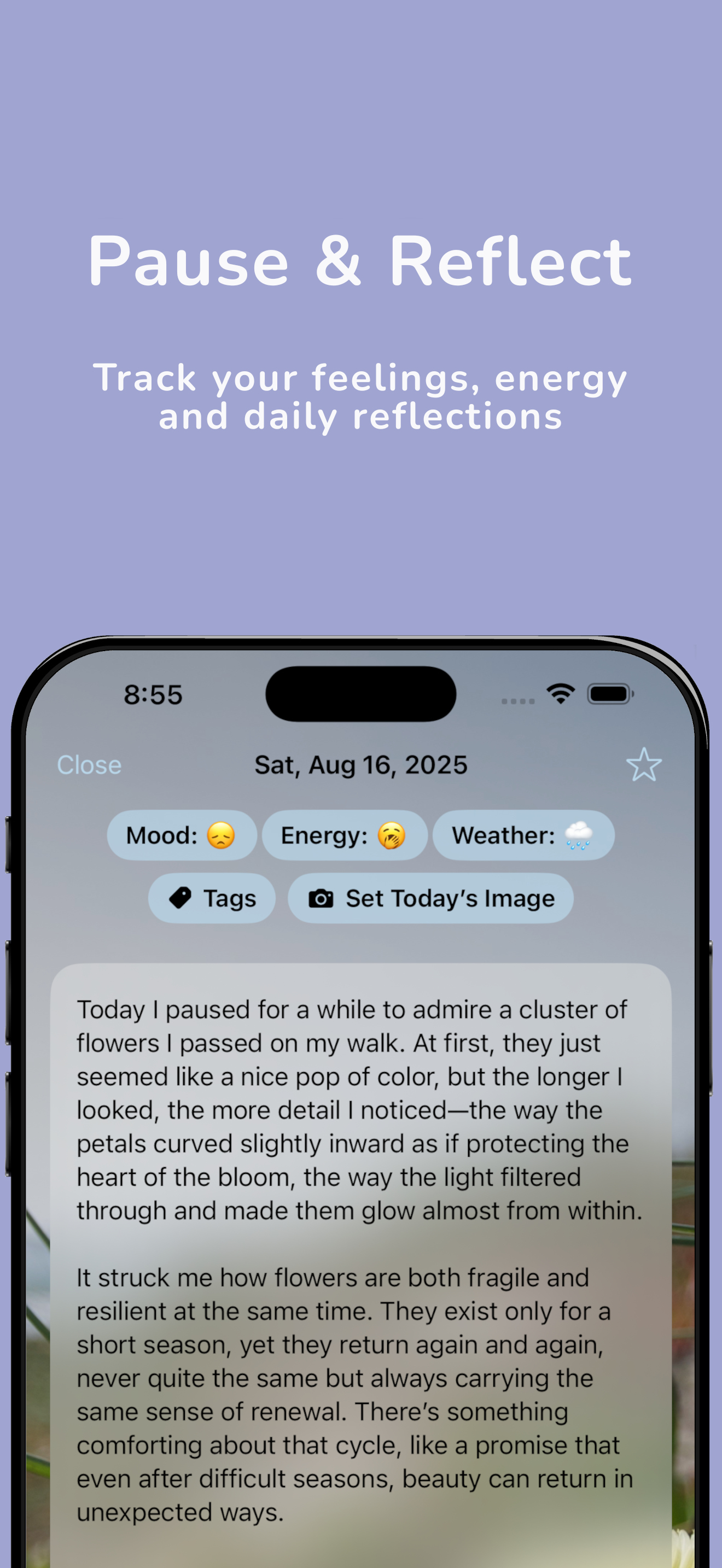 Havn – Private Journal screenshot 2