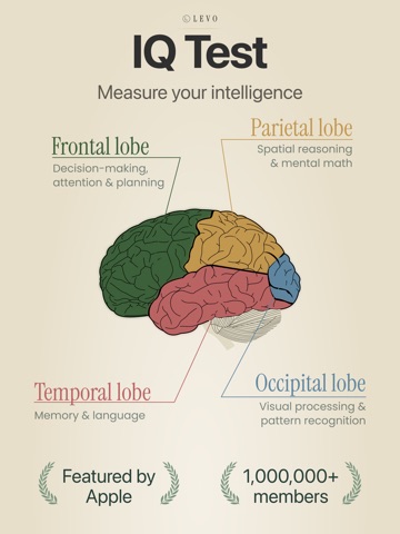 Altius Intelligence Screenshot 1