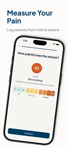 Migraine Tracker ~ screenshot 5