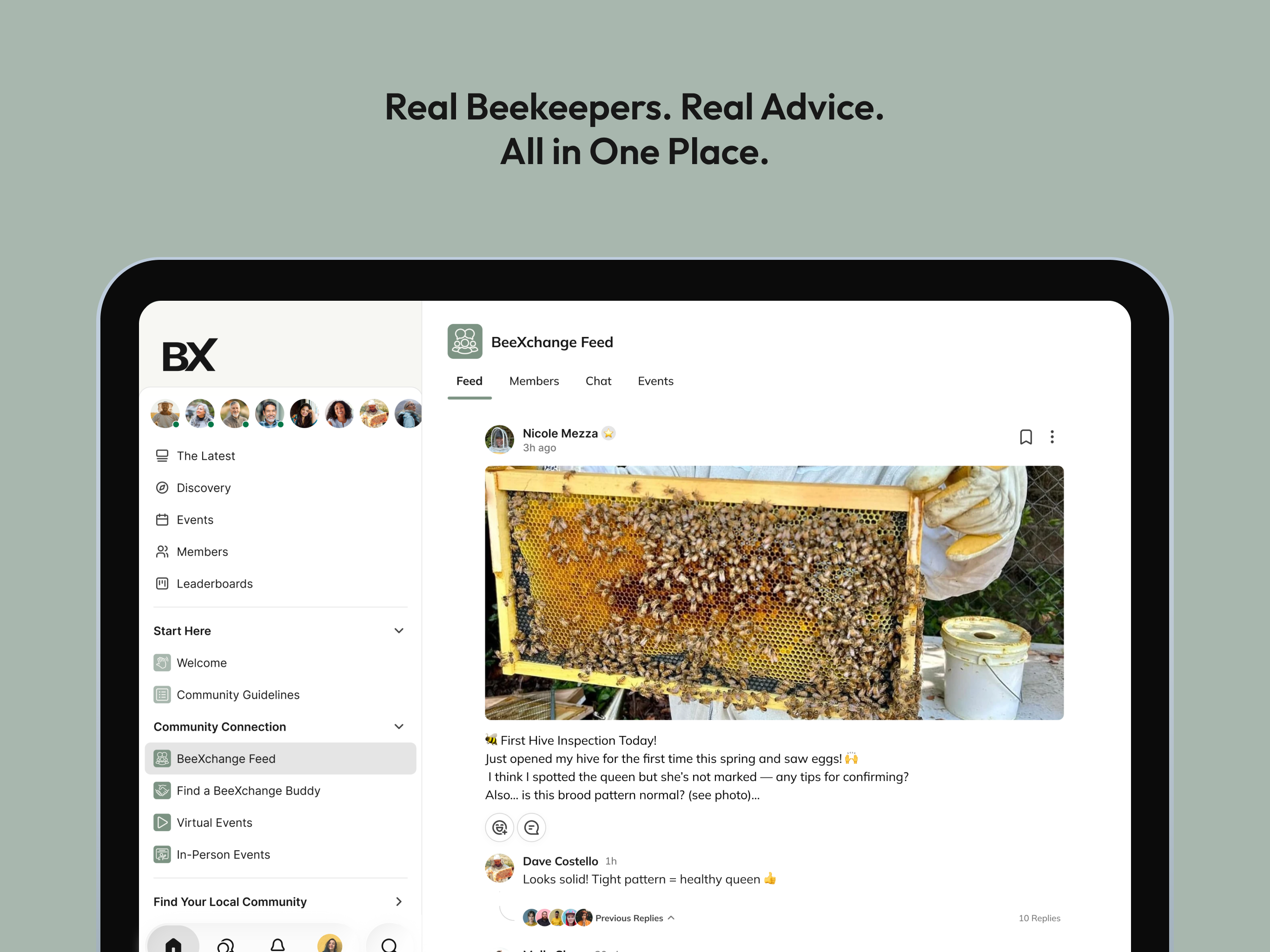 BeeXchange screenshot 6