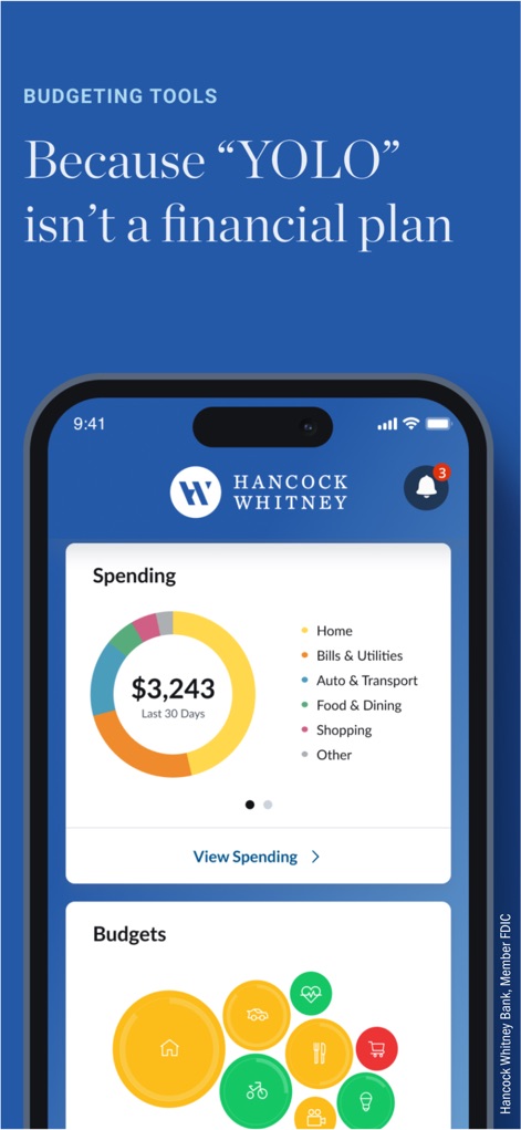 Hancock Whitney Bank - Users gain financial clarity with an interactive spending pie chart and visual budget categories to track their financial health.