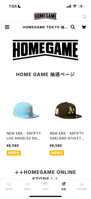 HOMEGAME screenshot 2