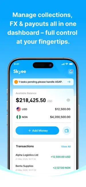 Skyee screenshot 1