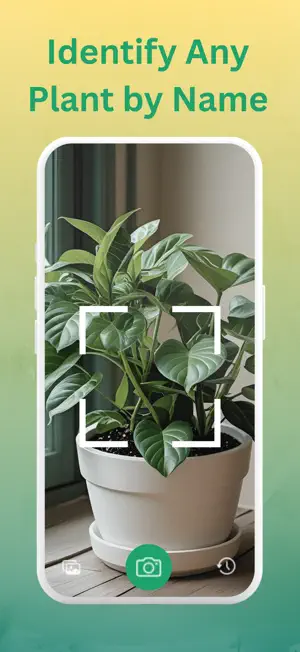Wilt: Plant Disease Identifier screenshot 4
