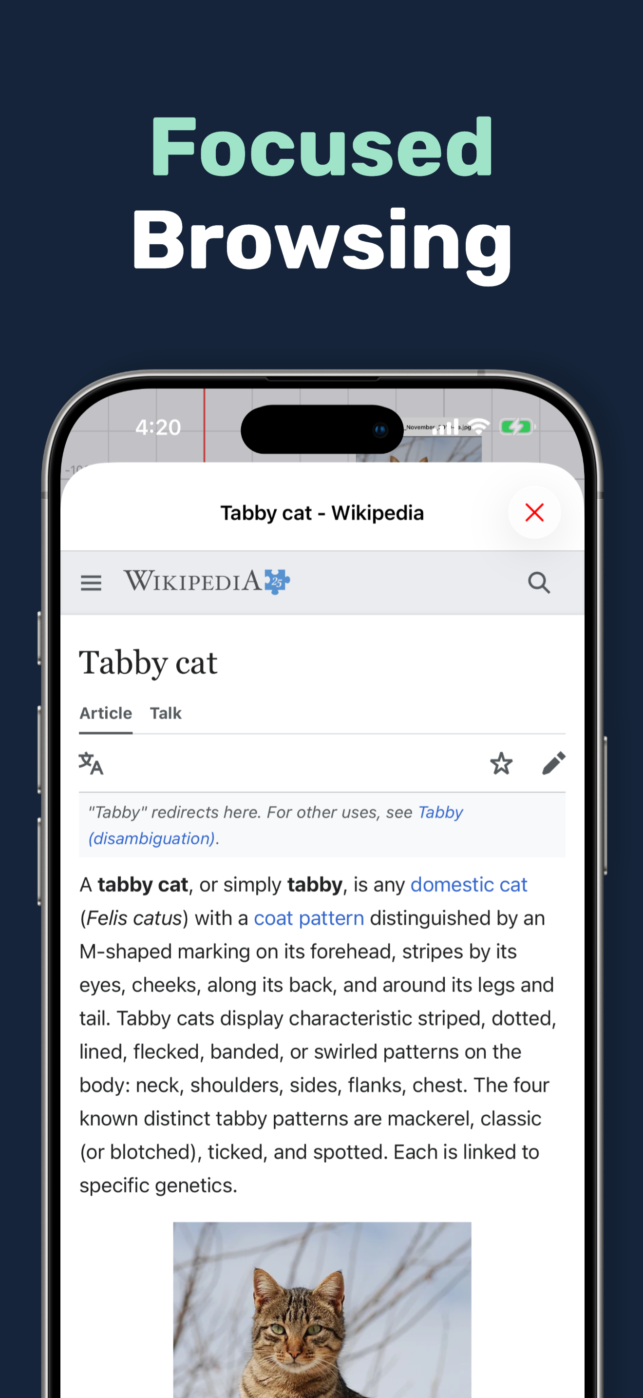 Web Canvas: Spatial Browser