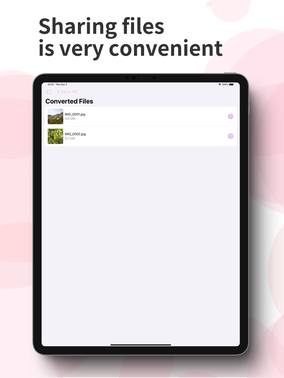 iPad screenshot