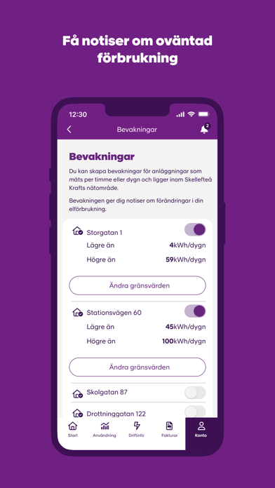 Skellefteå Kraft Screenshot