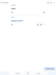 google Переводчик айпад изображения 3