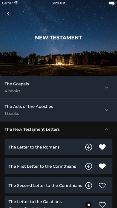 The AudioBible Superproduction Screenshot
