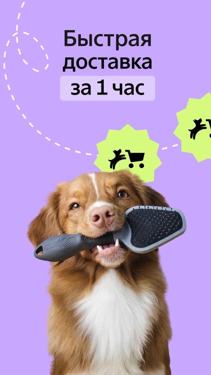 Четыре Лапы - зоомагазин