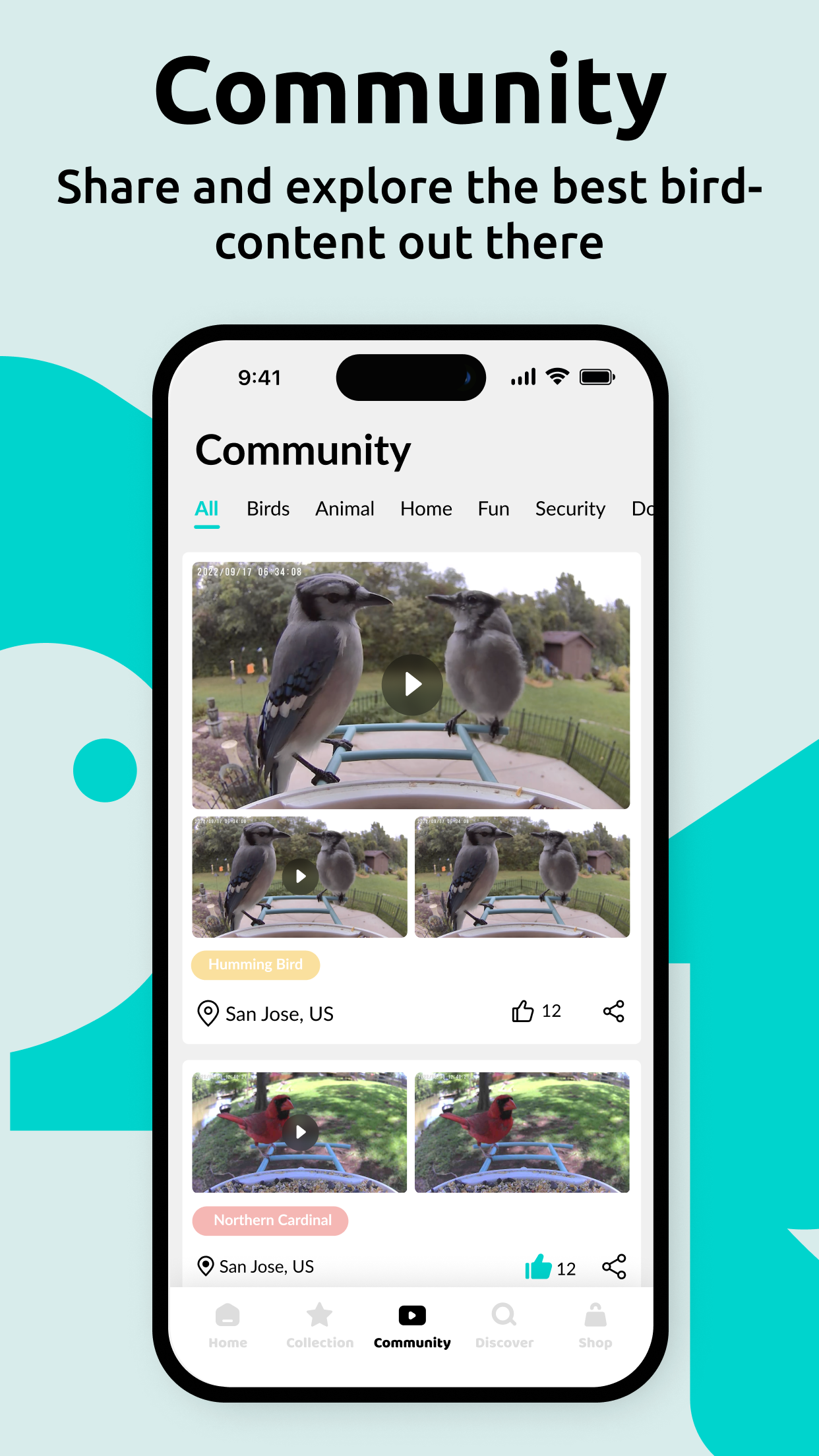 Birdfy screenshot 2