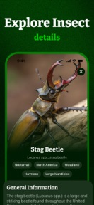 Insect ID, Bug Identifier screenshot
