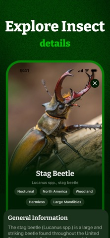 Insect ID, Bug Identifier screenshot