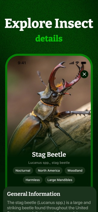 Insect ID, Bug Identifier Screenshot 3 of 5