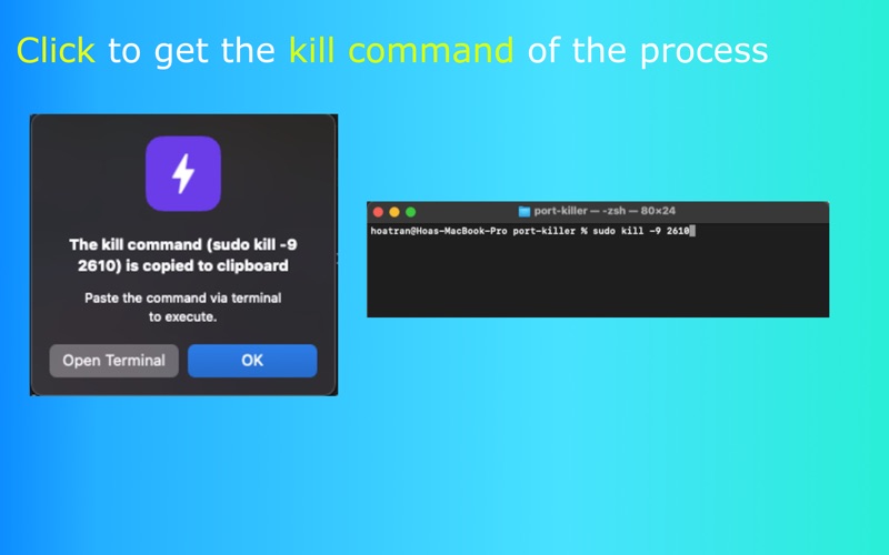 Port Killer screenshot 2