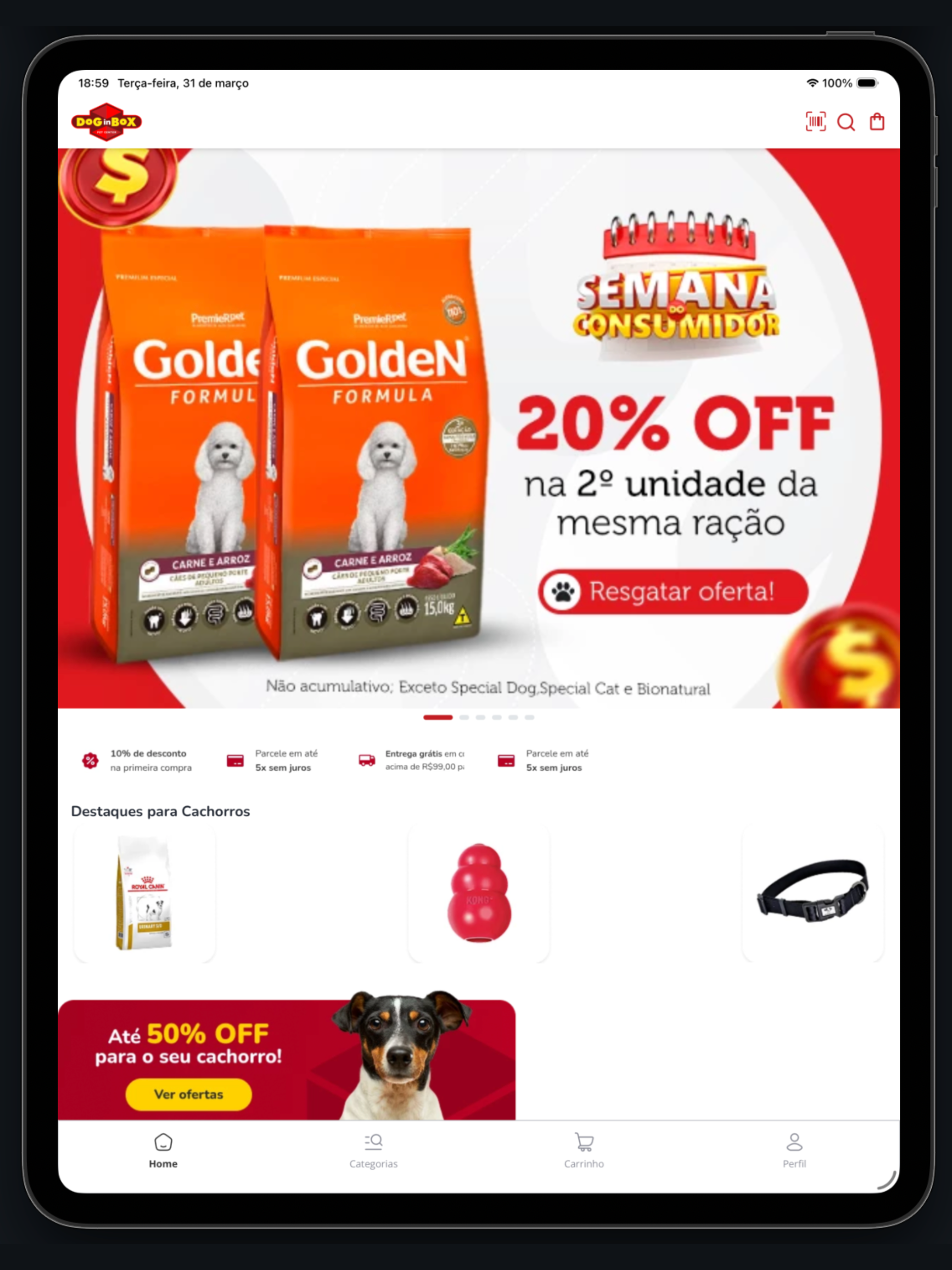 Dog in Box