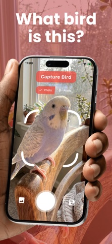 Bird Identifier: Call ID iPhone screenshot