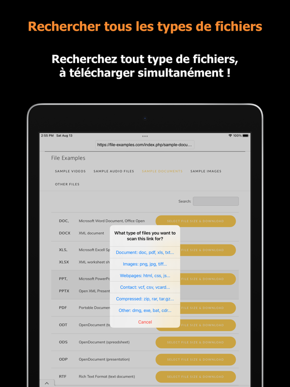 Screenshot #5 pour Blaze : Navigateur hors ligne