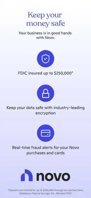 Novo - Small Business Checking screenshot 8