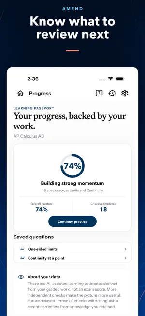 Amend: AI Tutor screenshot 3
