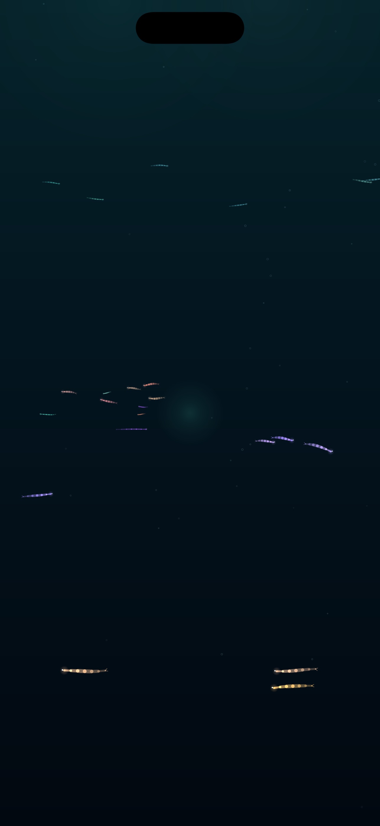 Screenshot 5 of Ethereal