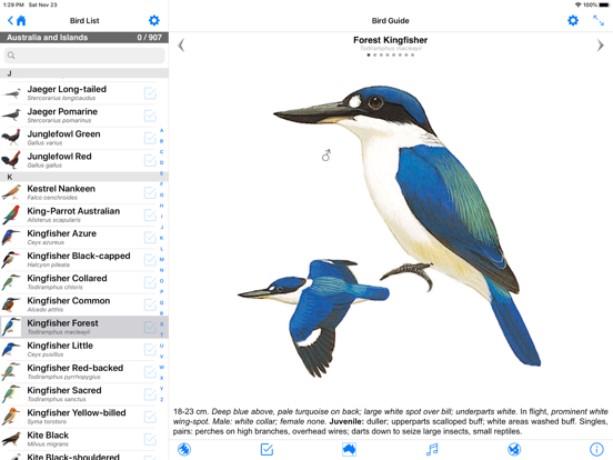 Screenshot #6 pour Pizzey and Knight Birds of Aus