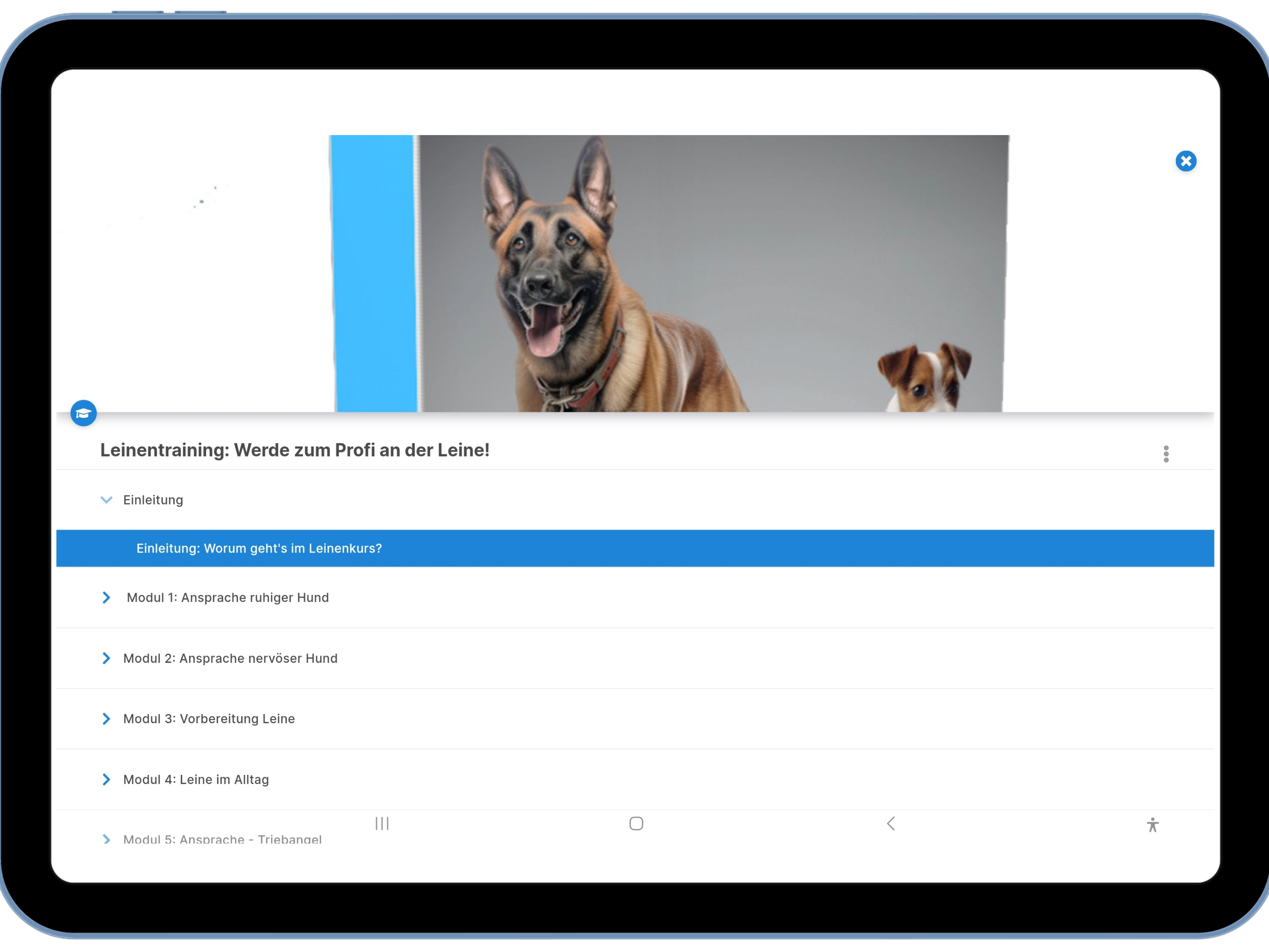 Mit Hunden Leben