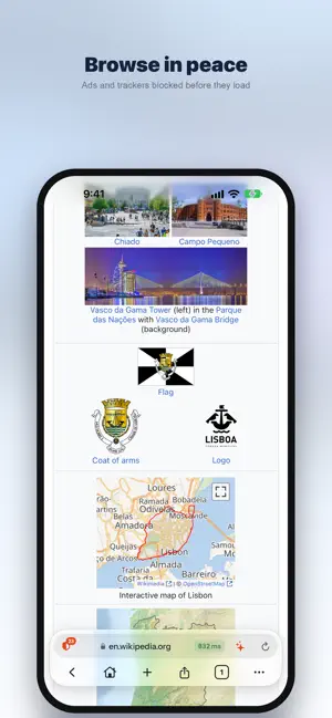 Olana Browser screenshot 1