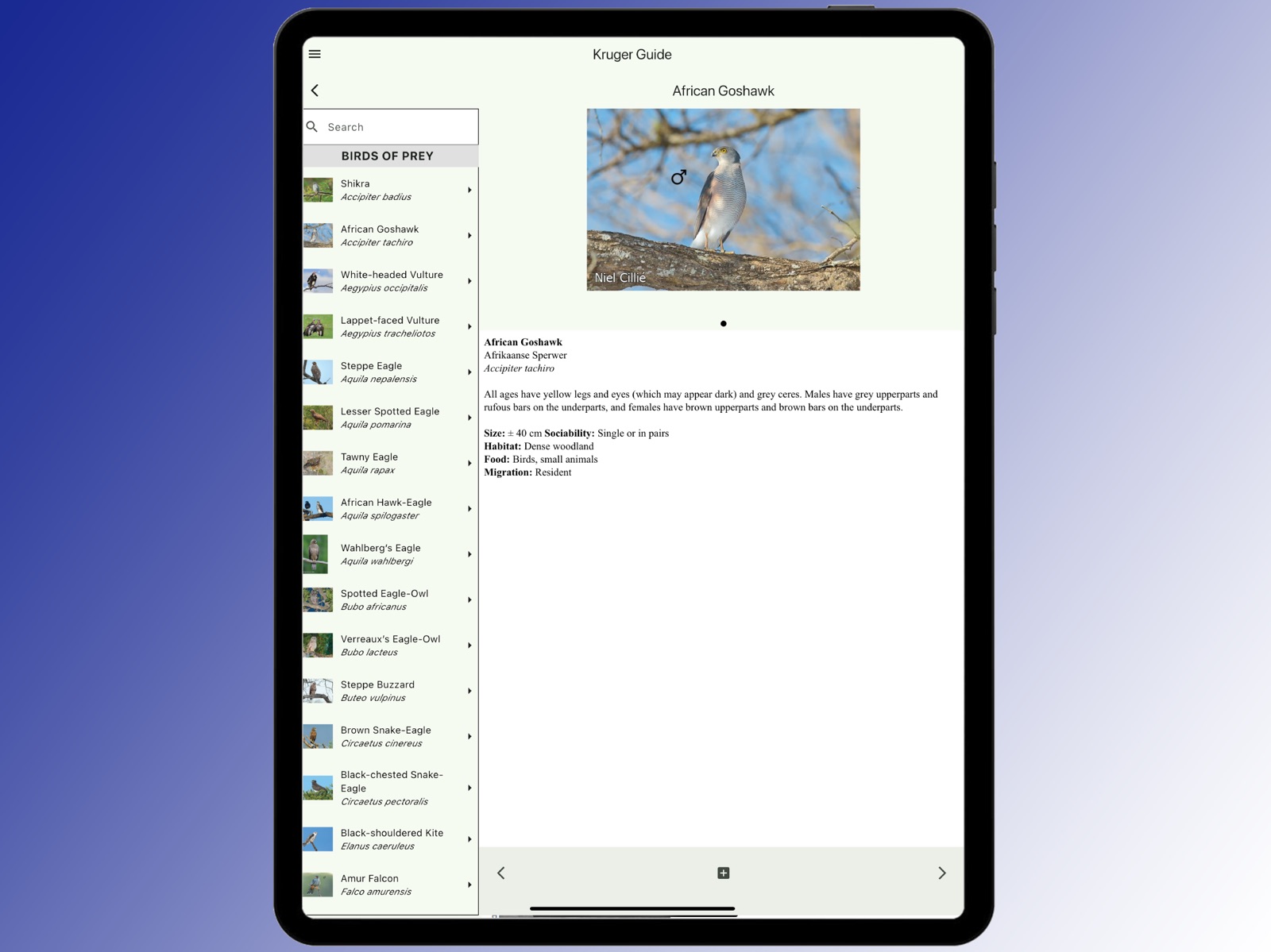 Animals of Kruger ipad screenshot 3