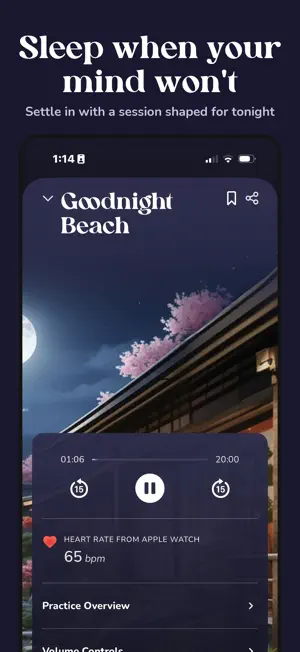 Dojo: Guided Meditation screenshot 2