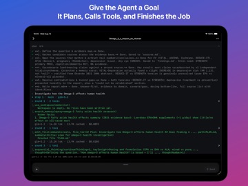 Privacy AI: Agent & Chatbot iPad screenshot