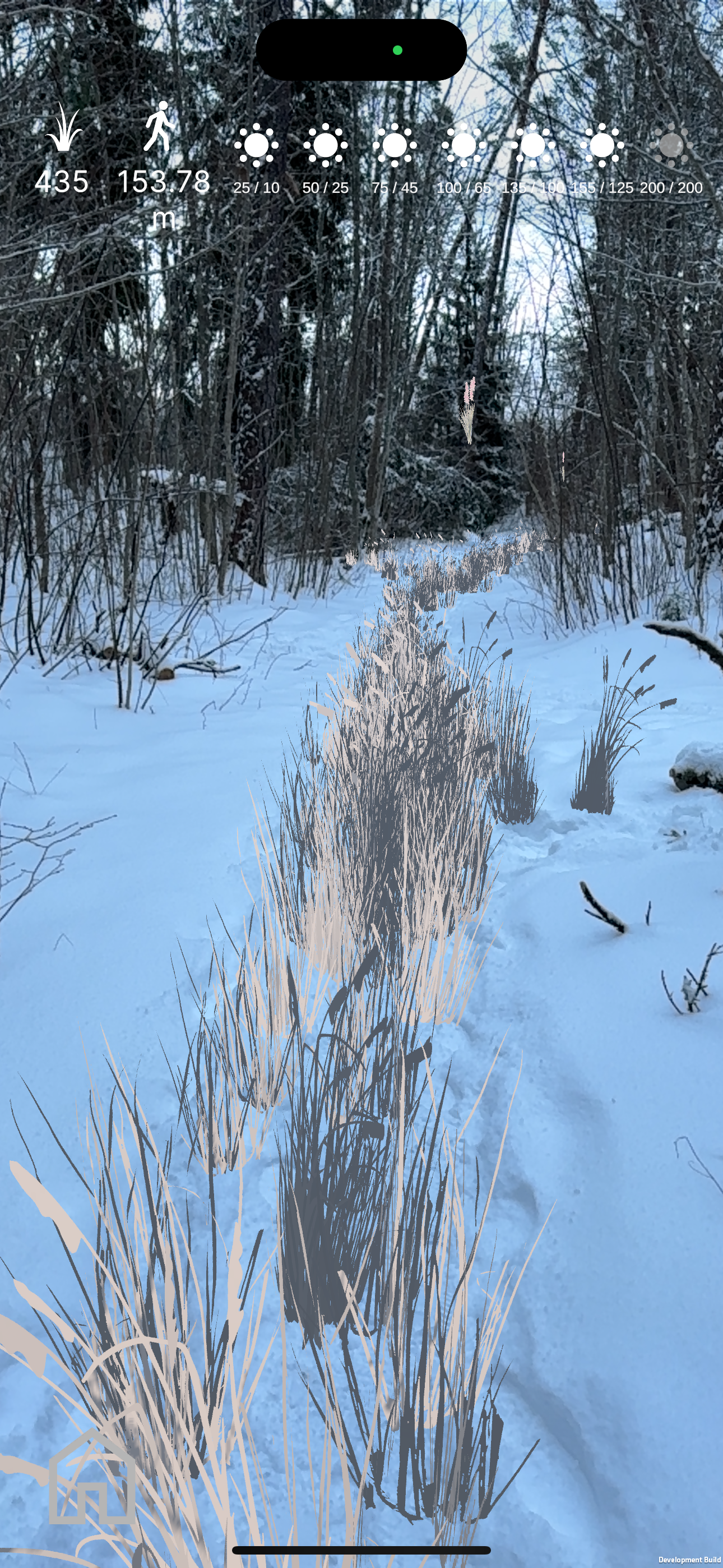 Väikesed elud: ROHI