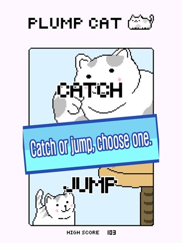 Plump Cat