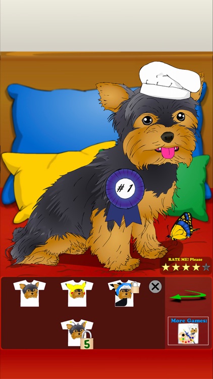 Poor Little Dog: Yorkie