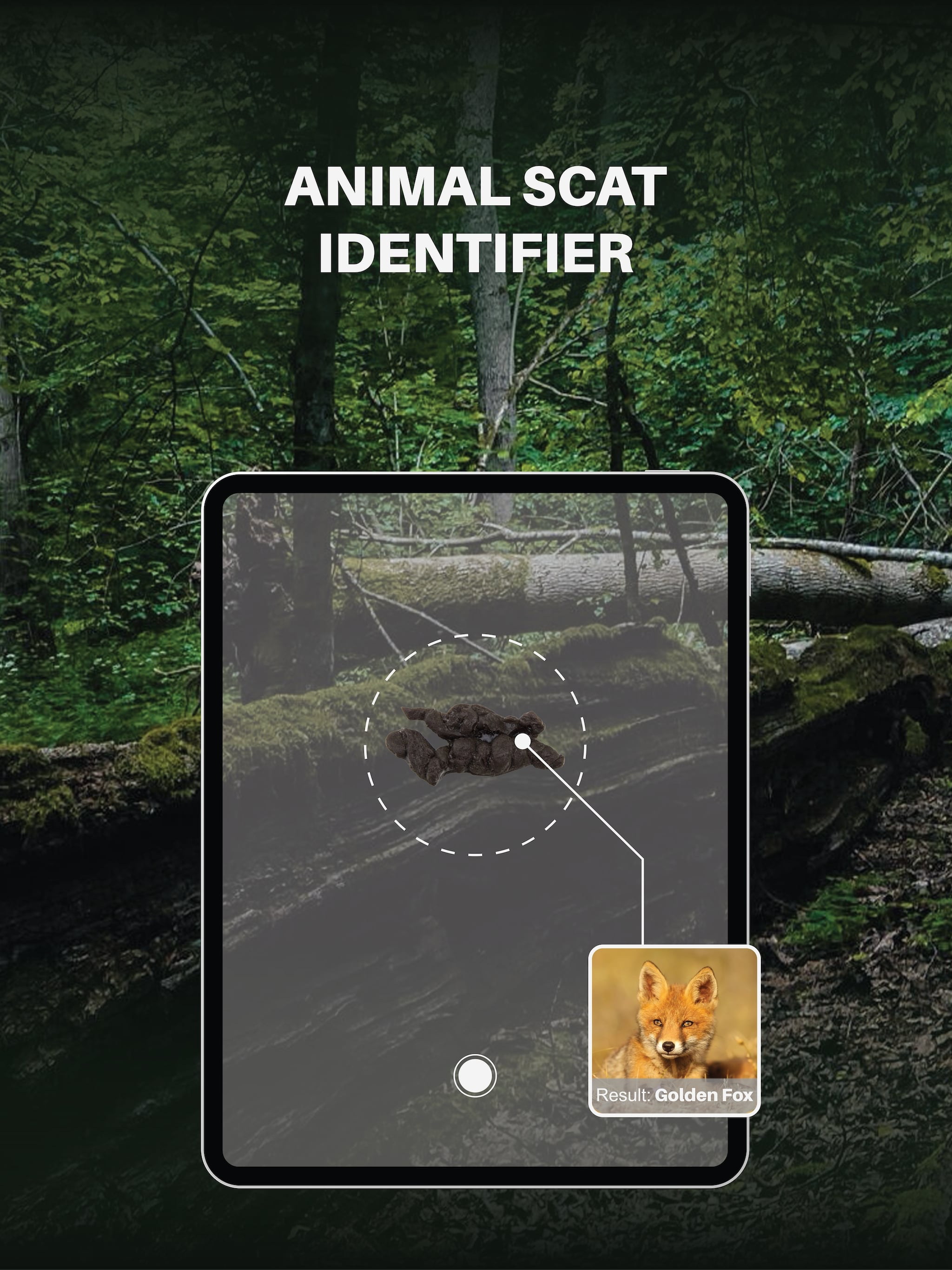 DungID: Animal Scat Identifier screenshot 8