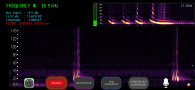 Bat Detector Screenshot 2 of 5